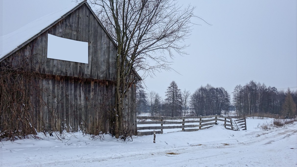 Styczeń w obiektywie - zdjęcie 59