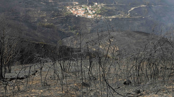 Pożary lasów w Portugalii. Rząd ogłosił trzydniową żałobę narodową