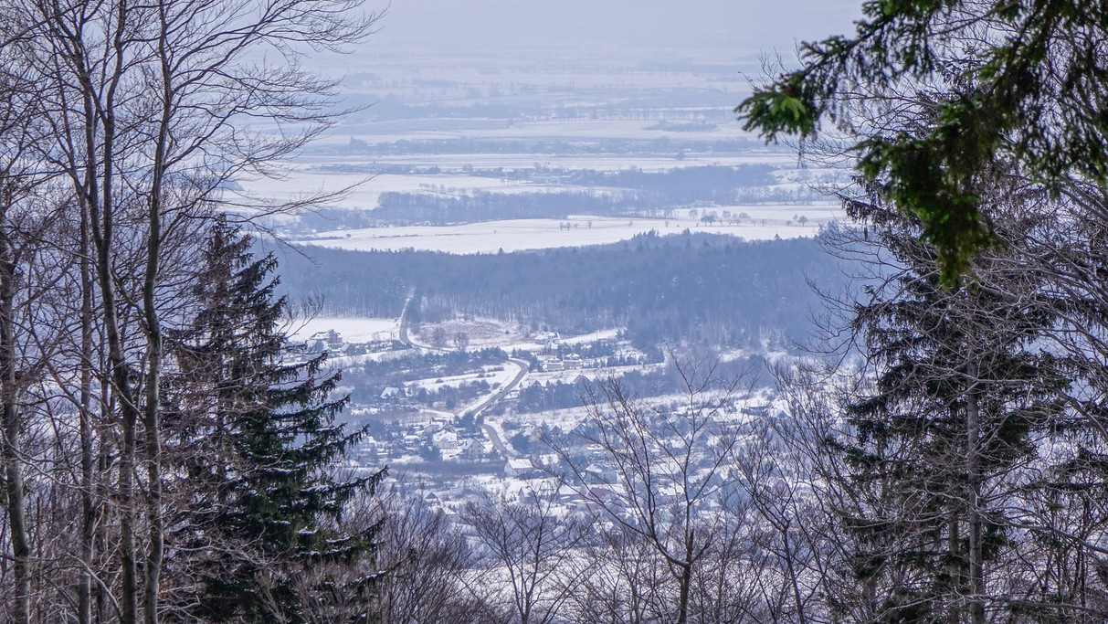 Marzec w obiektywie - zdjęcie 36