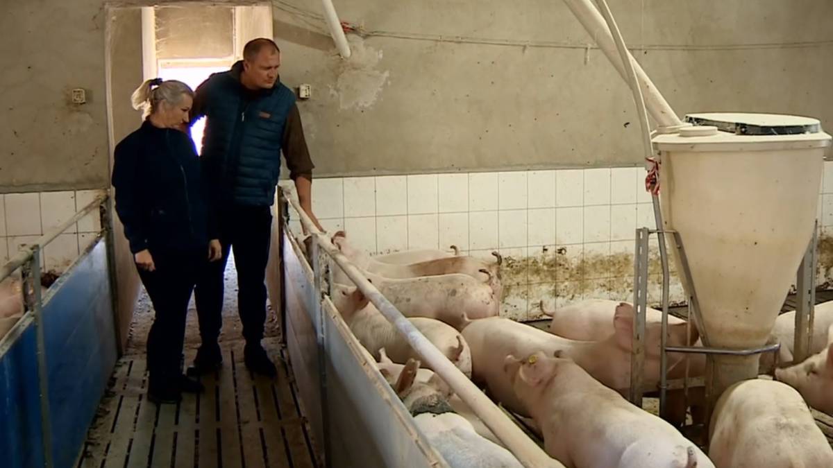 Kara dla rolnika za smród z chlewni. Minister zapowiada nową ustawę