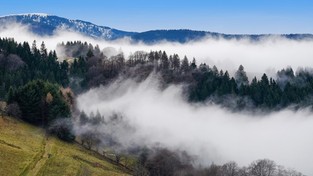 24.10.2019 09:00 Co nad nami wisi? To mgła czy smog? Jak łatwo odróżnić od siebie oba zjawiska? Sprawdź!