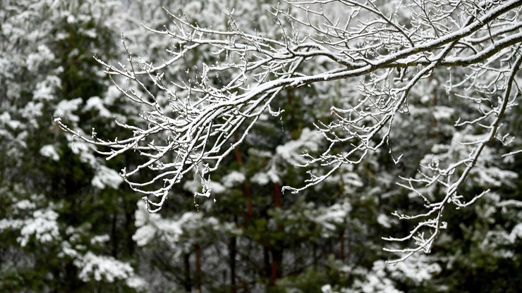 Synoptyk IMGW: opady śniegu w całym kraju, nawet -9 stopni