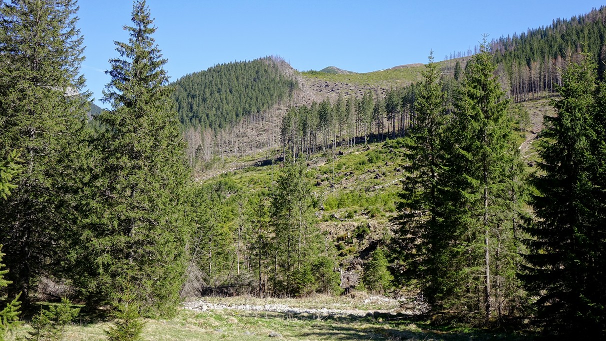 Majówka w Tatrach - zdjęcie 25