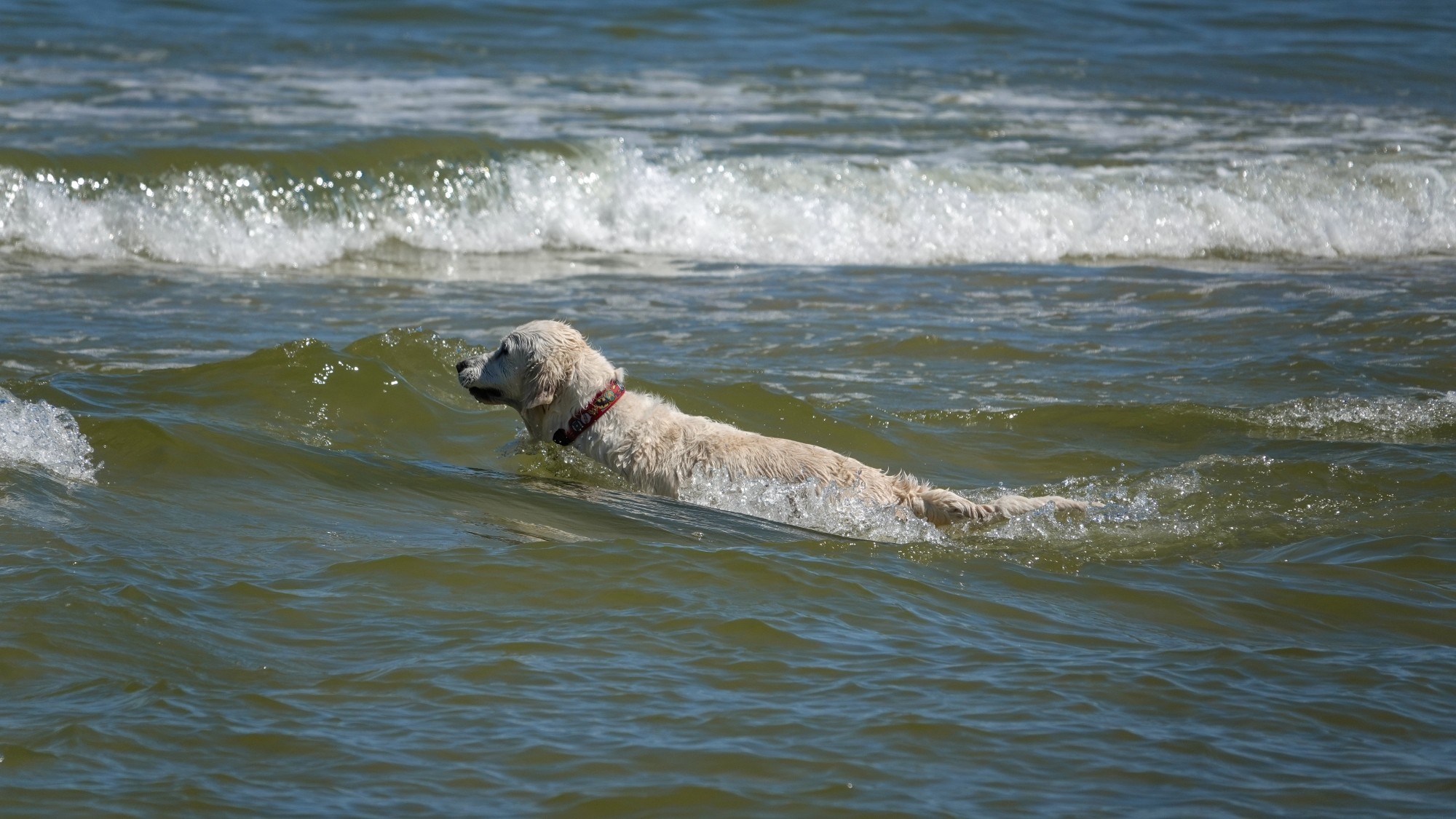 Od morza po góry - zdjęcie 27