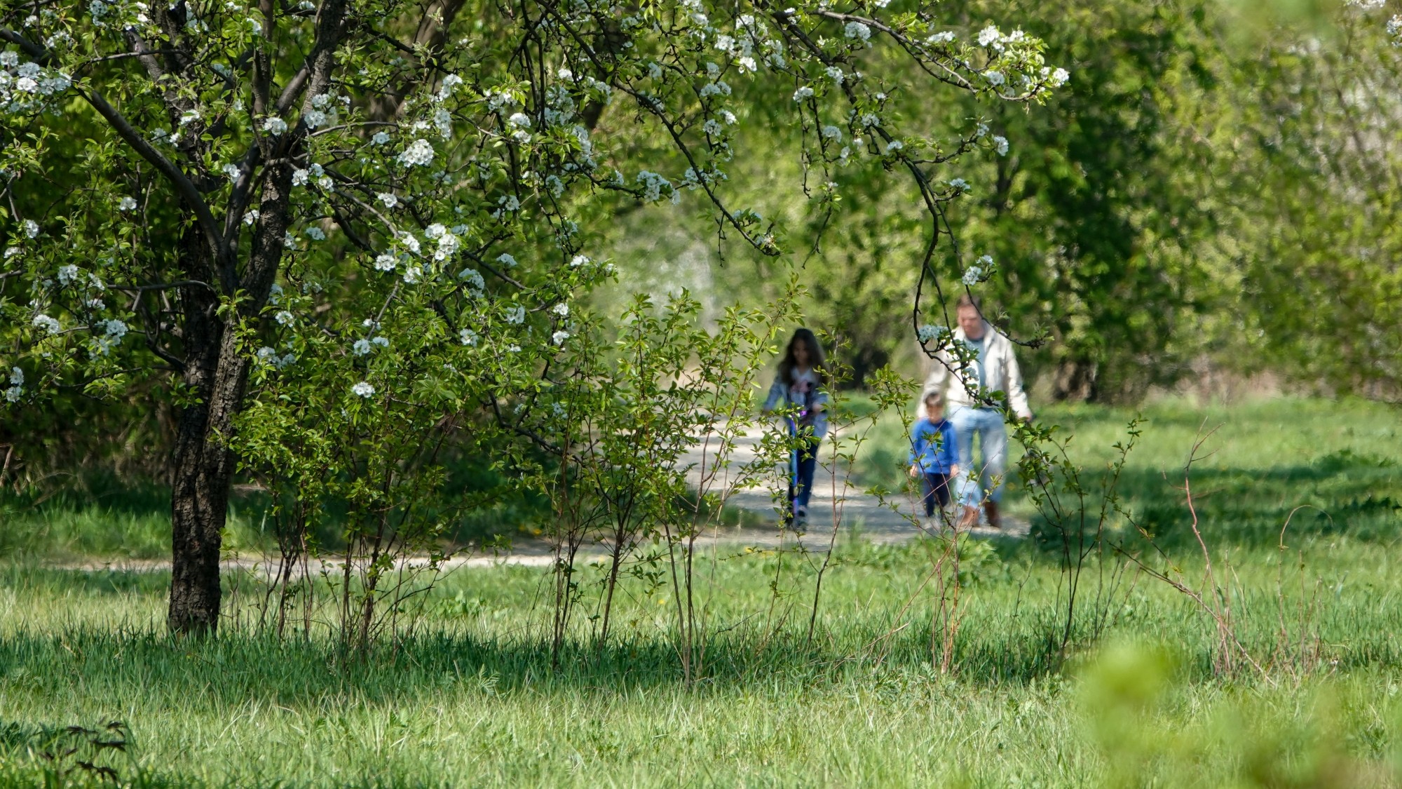 Kwiecień w obiektywie - zdjęcie 72