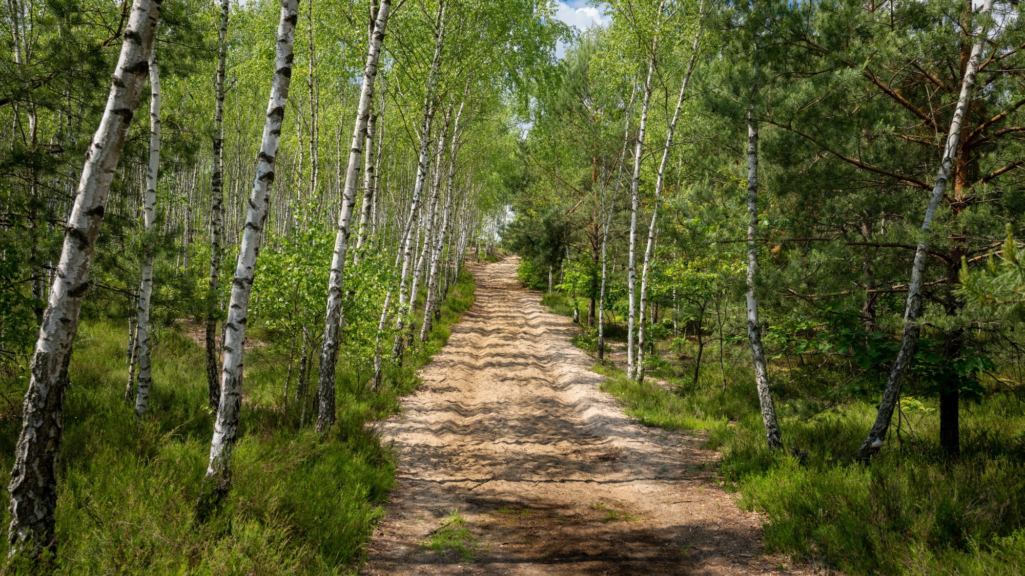 Lato na prowincji - zdjęcie 27