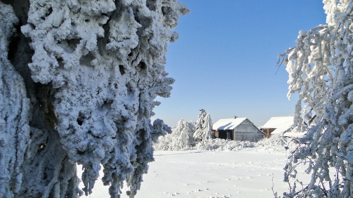 Bajkowa kraina śniegu i lodu - zdjęcie 6