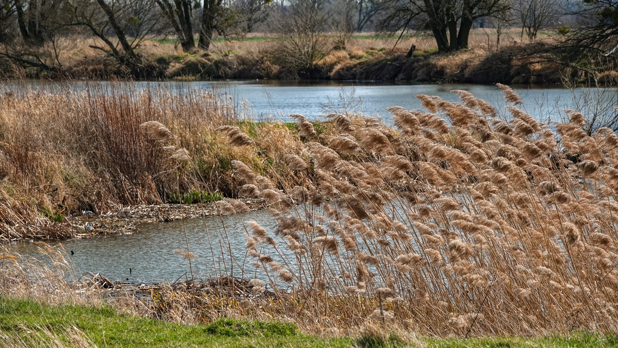 Marzec w obiektywie - zdjęcie 25