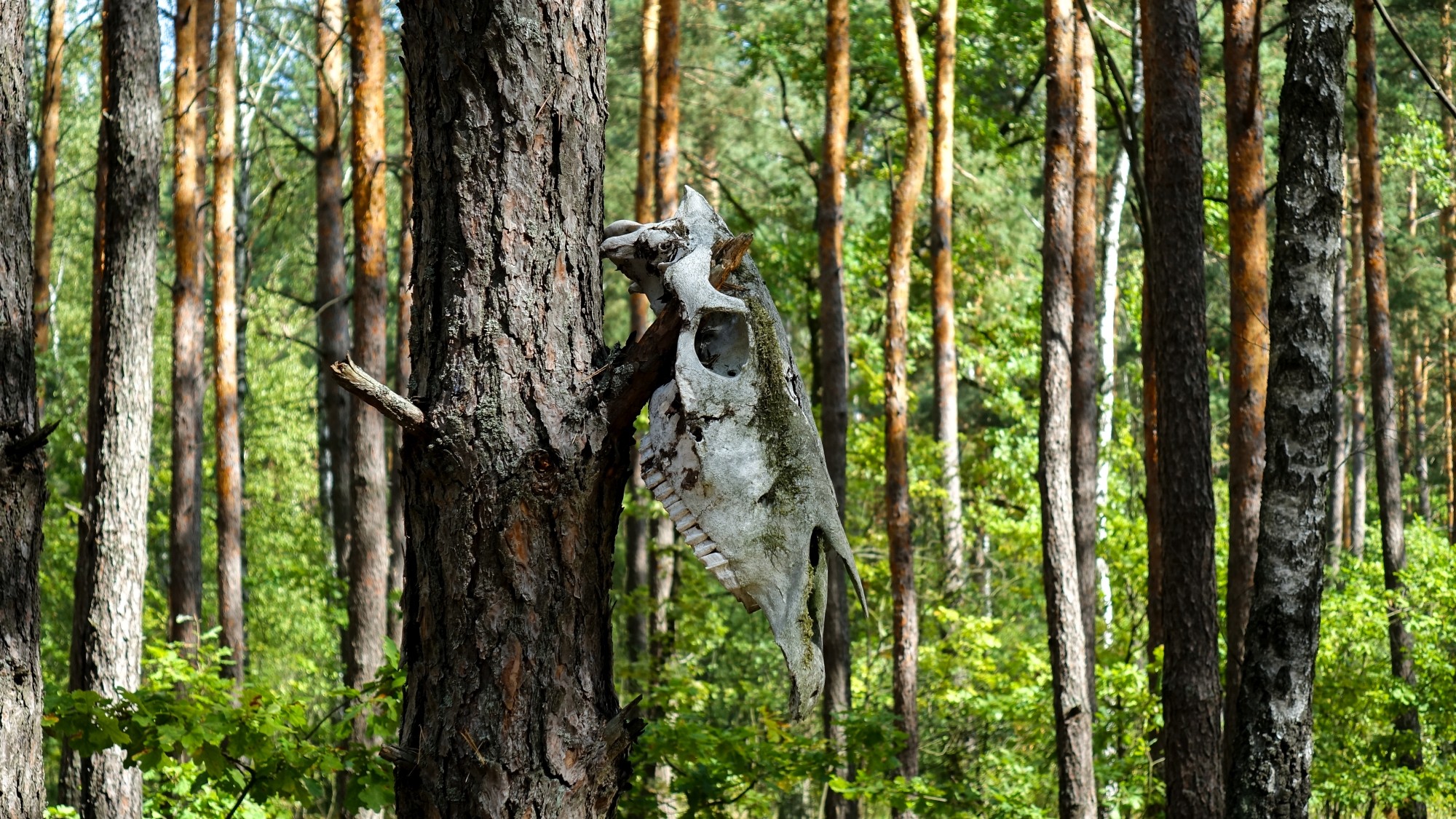 Wrzesień w obiektywie - zdjęcie 48