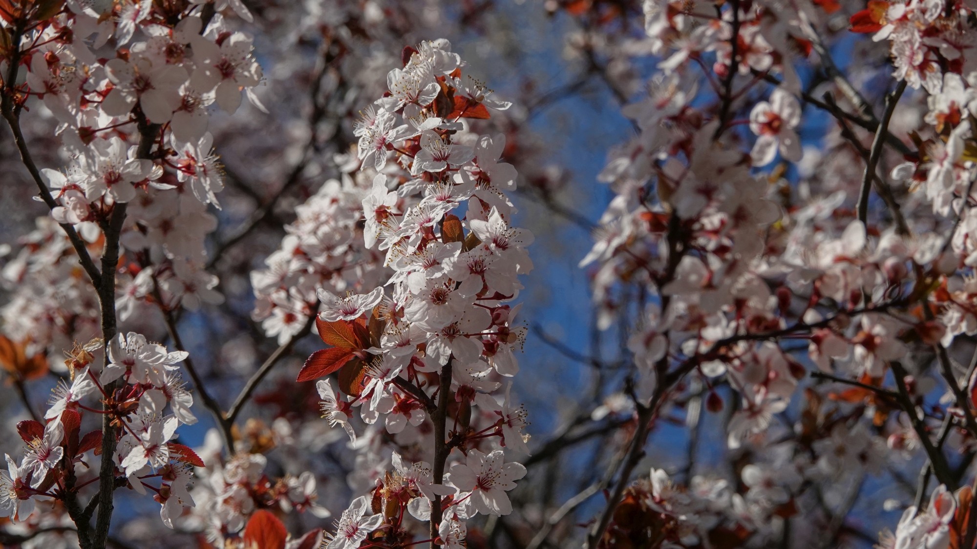 Kwiecień w obiektywie - zdjęcie 6