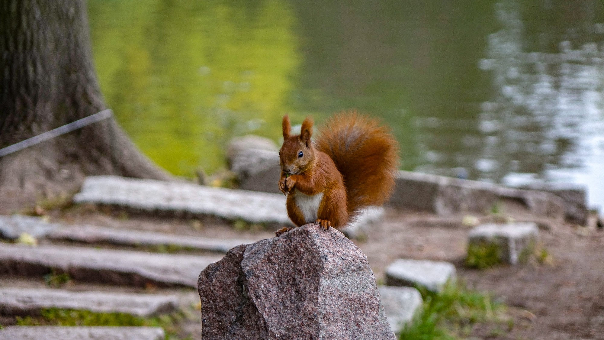 Z kamerą wśród zwierząt - zdjęcie 6