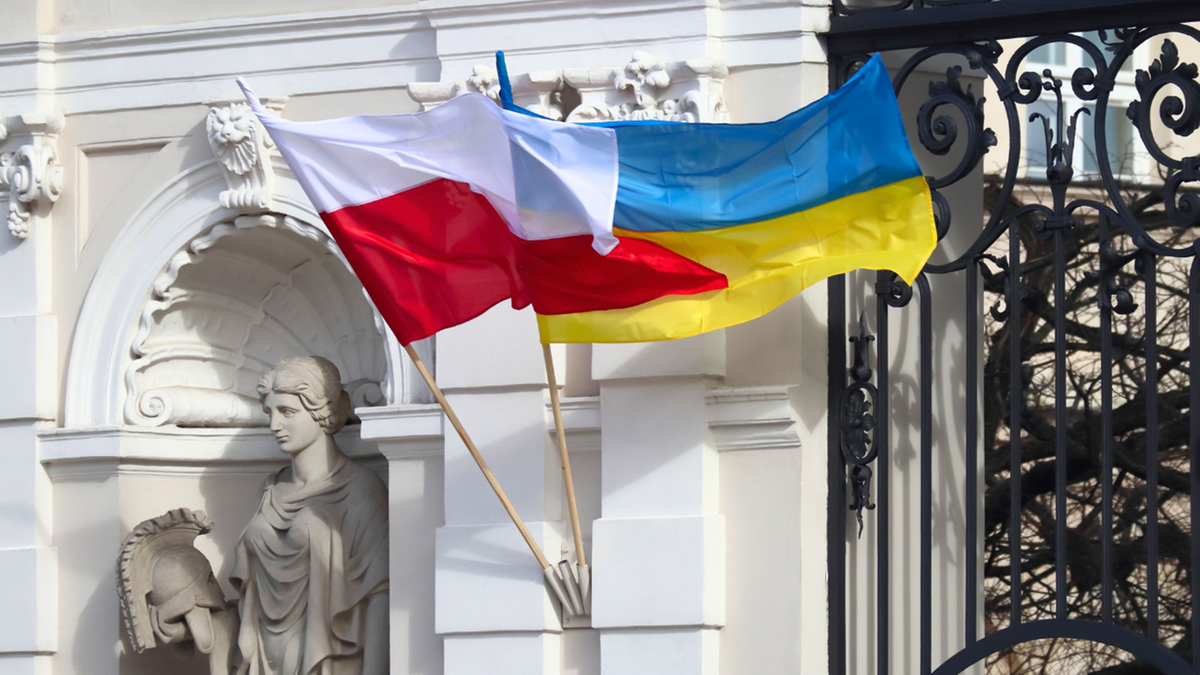 Депортация украинцев призывного возраста. Так поляки оценивали идею PiS