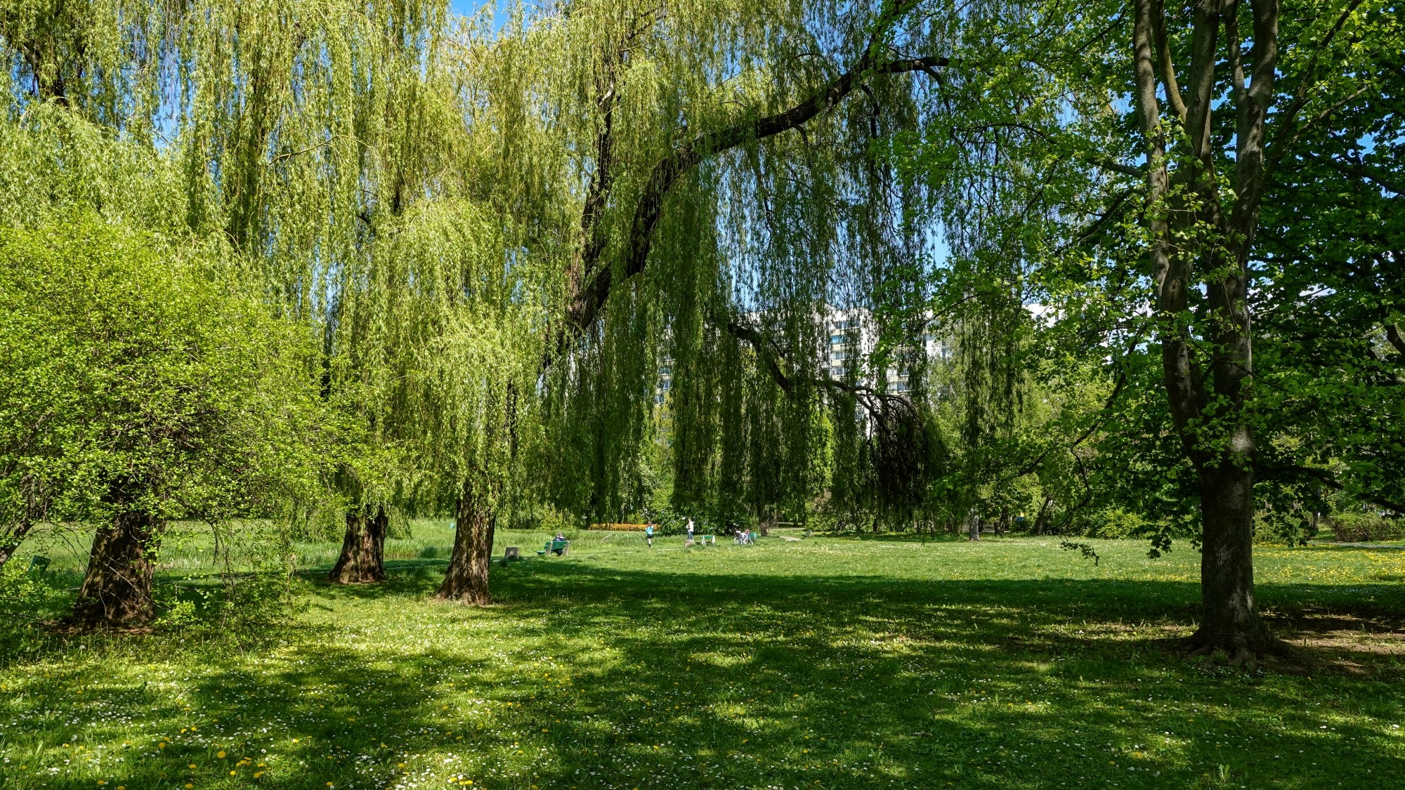 Uroki zielonej pory roku - zdjęcie 18