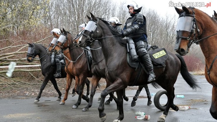 Egzamin policyjnych koni