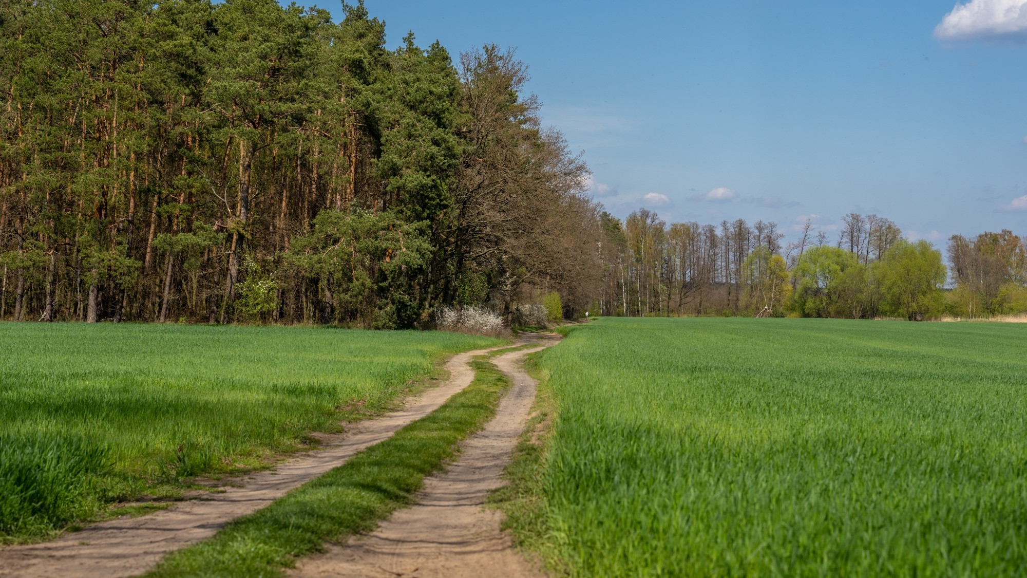 Wiosenna opowieść - zdjęcie 25