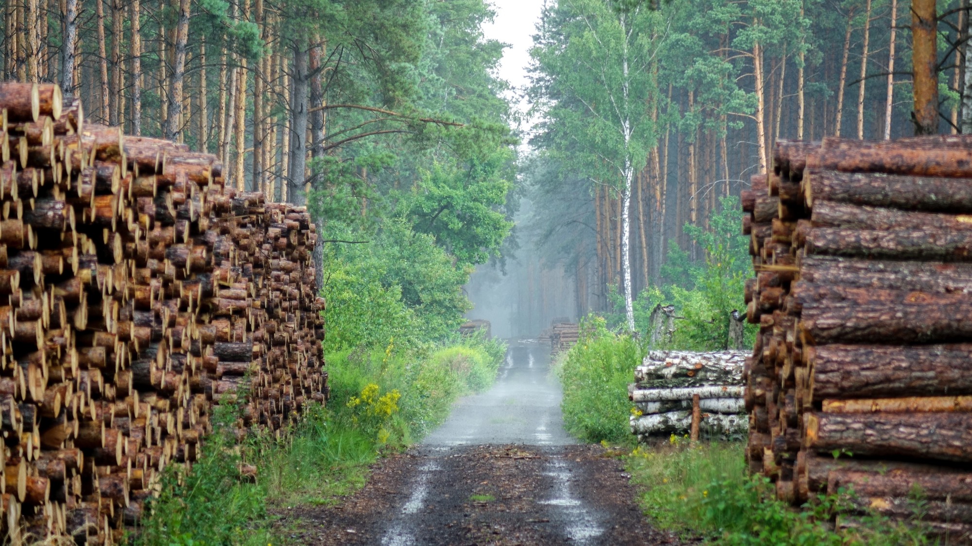 Całe piękno polskiej prowincji - zdjęcie 22
