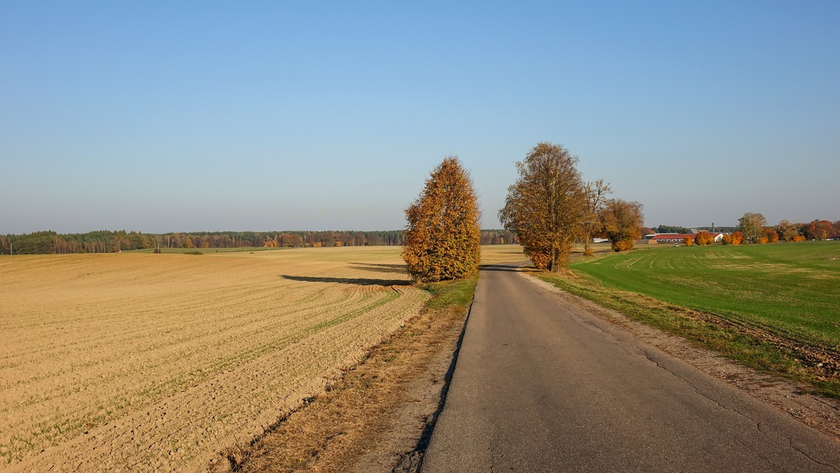 Jesienne krajobrazy za miastem - zdjęcie 34