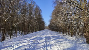 27.01.2021 10:35 Co dalej z zimą? Czy w lutym nam odpuści, a może pozostanie na dłużej? Sprawdź prognozę!