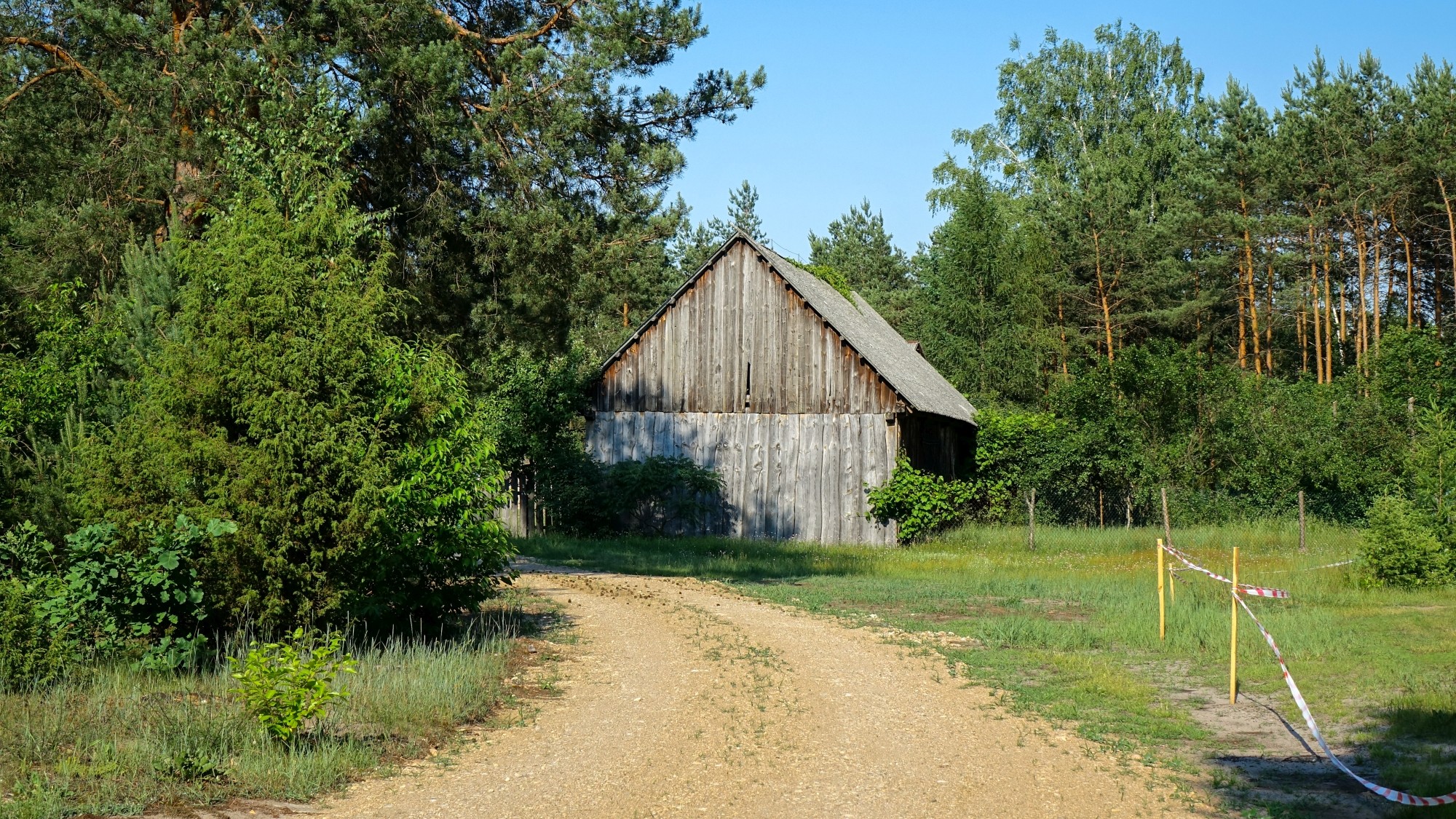 Czerwiec w obiektywie - zdjęcie 12