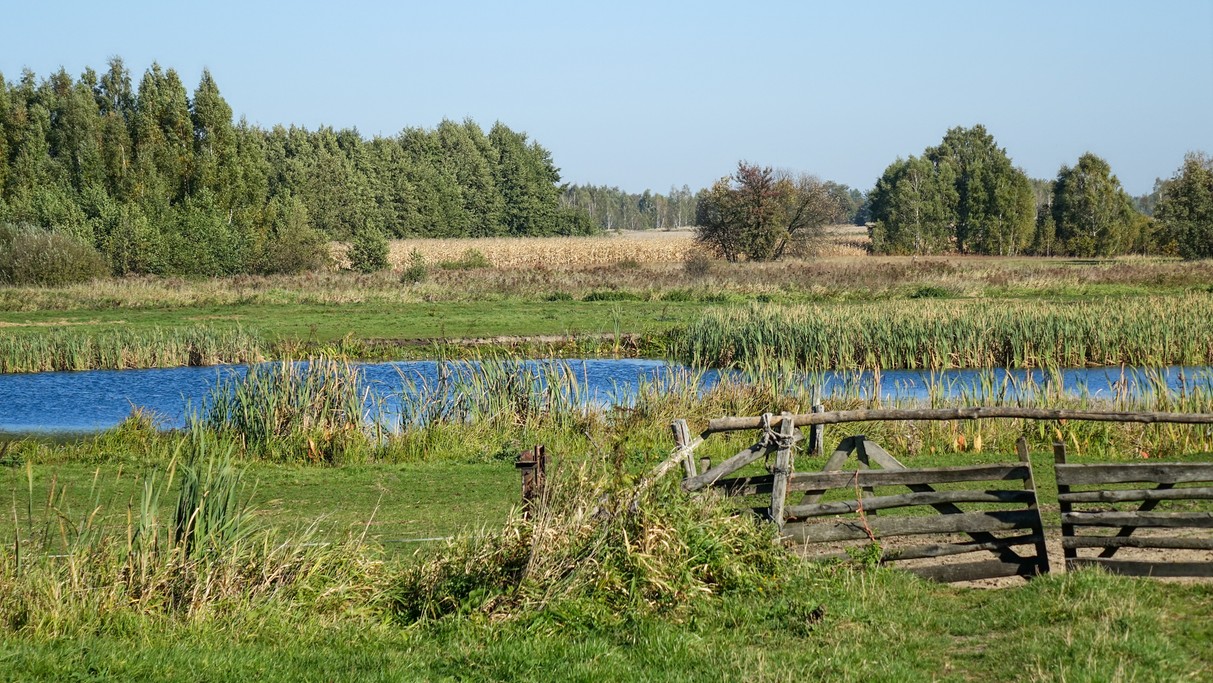 Jesienne krajobrazy za miastem - zdjęcie 61