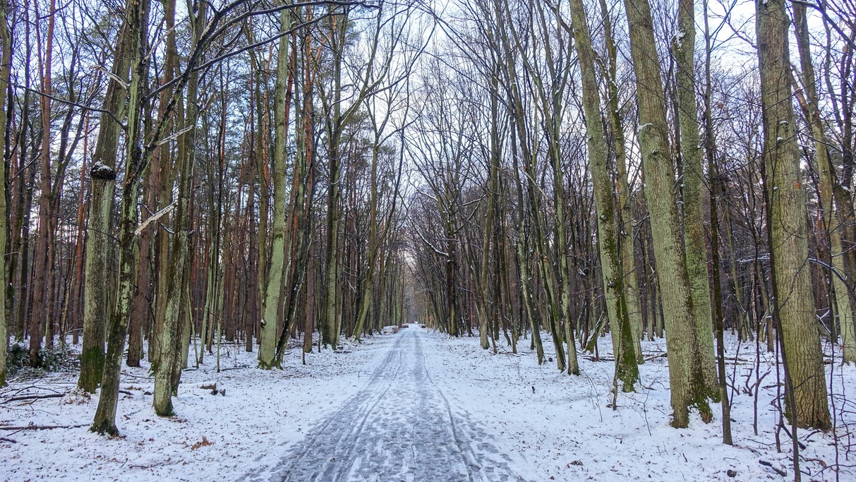 Styczeń w obiektywie - zdjęcie 17