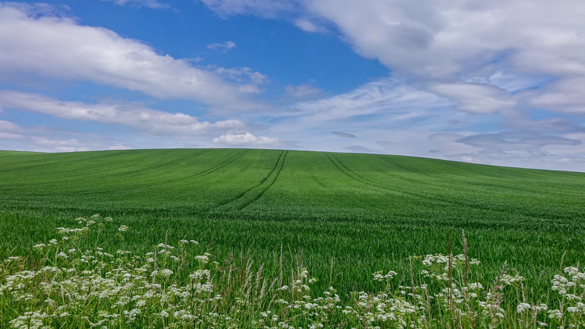 Mazury wiosną - zdjęcie 14