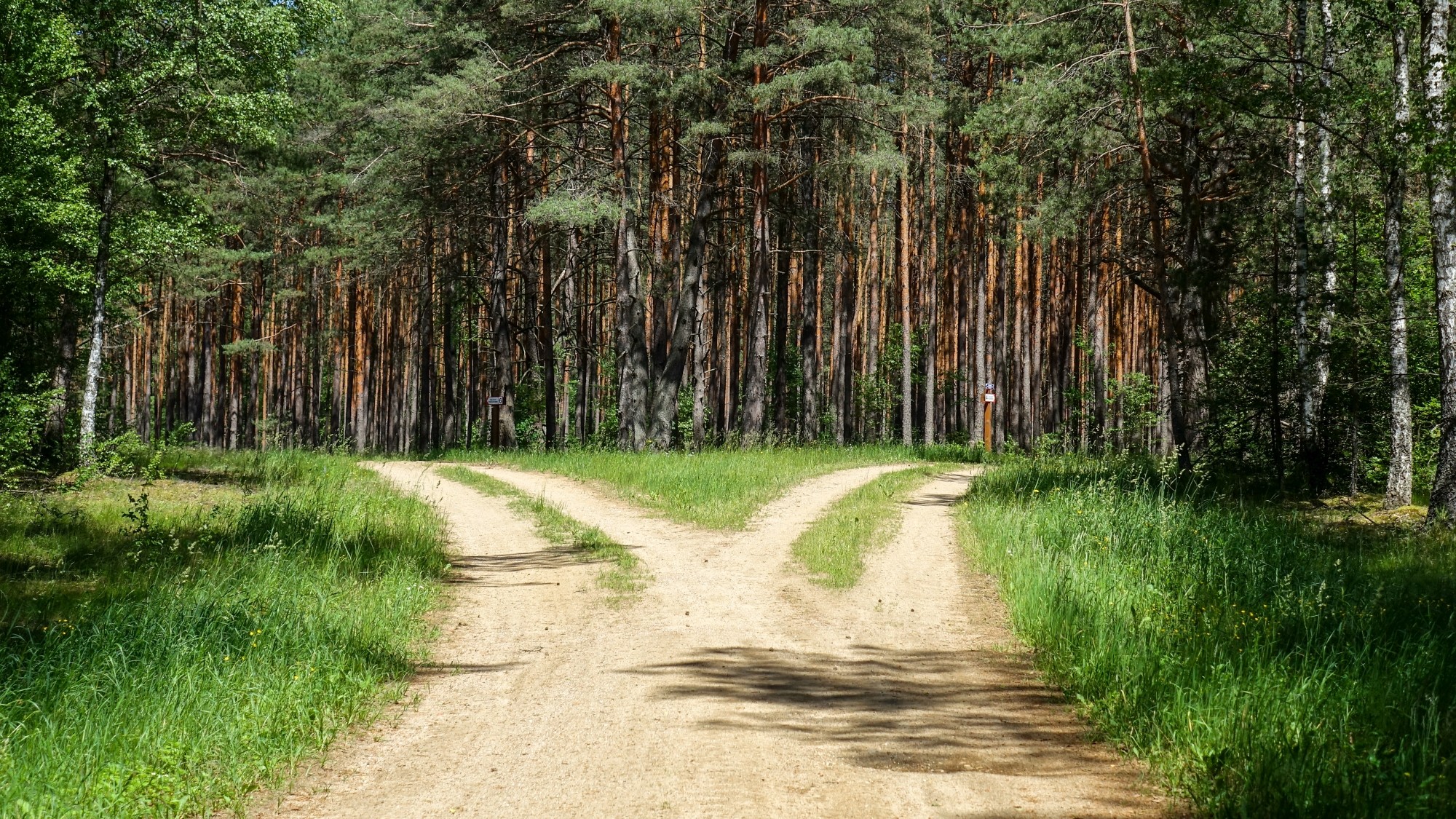 Urocze zakątki w lasach - zdjęcie 103
