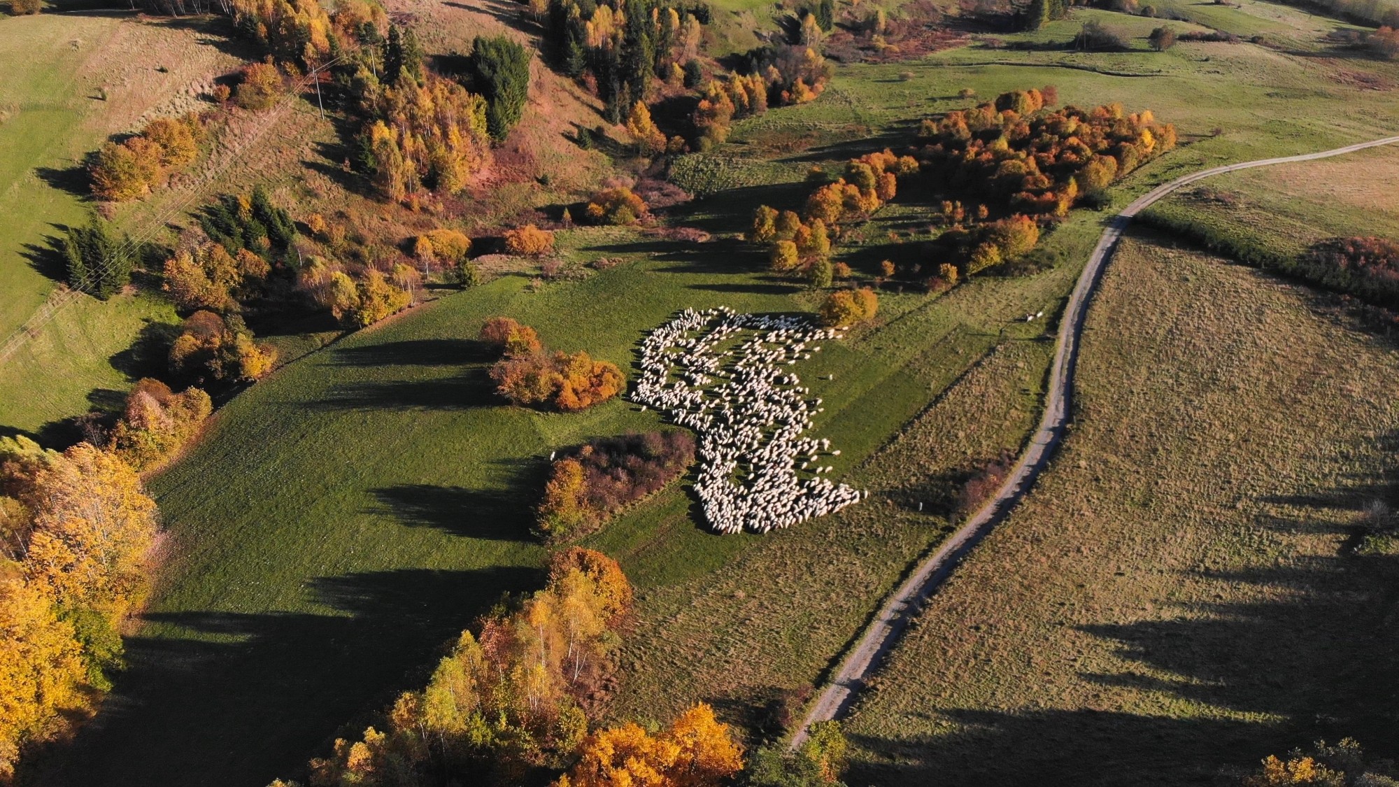 Jesień w górach z lotu ptaka - zdjęcie 7