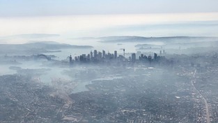 12.12.2019 07:00 Najciemniejsze dni w historii Sydney. Miasto dusi się trującym dymem z pożarów. Mieszkańcy są wściekli