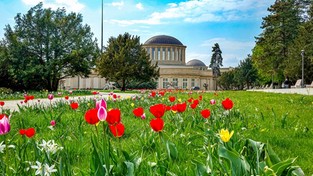 26.03.2021 09:00 Wiemy już skąd się bierze ten charakterystyczny zapach wiosny, który tak bardzo lubimy