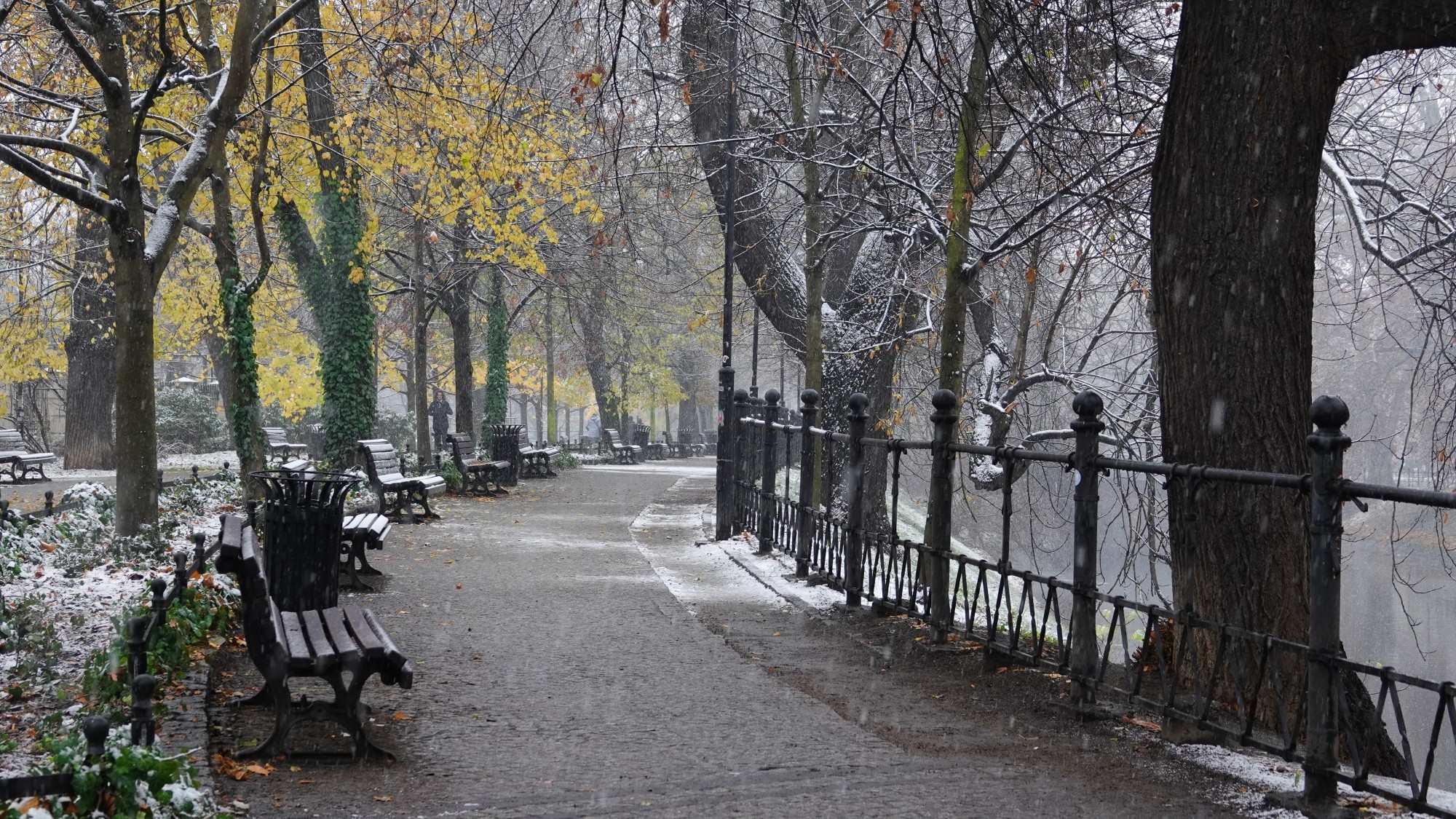 Oblicza zimy - zdjęcie 6