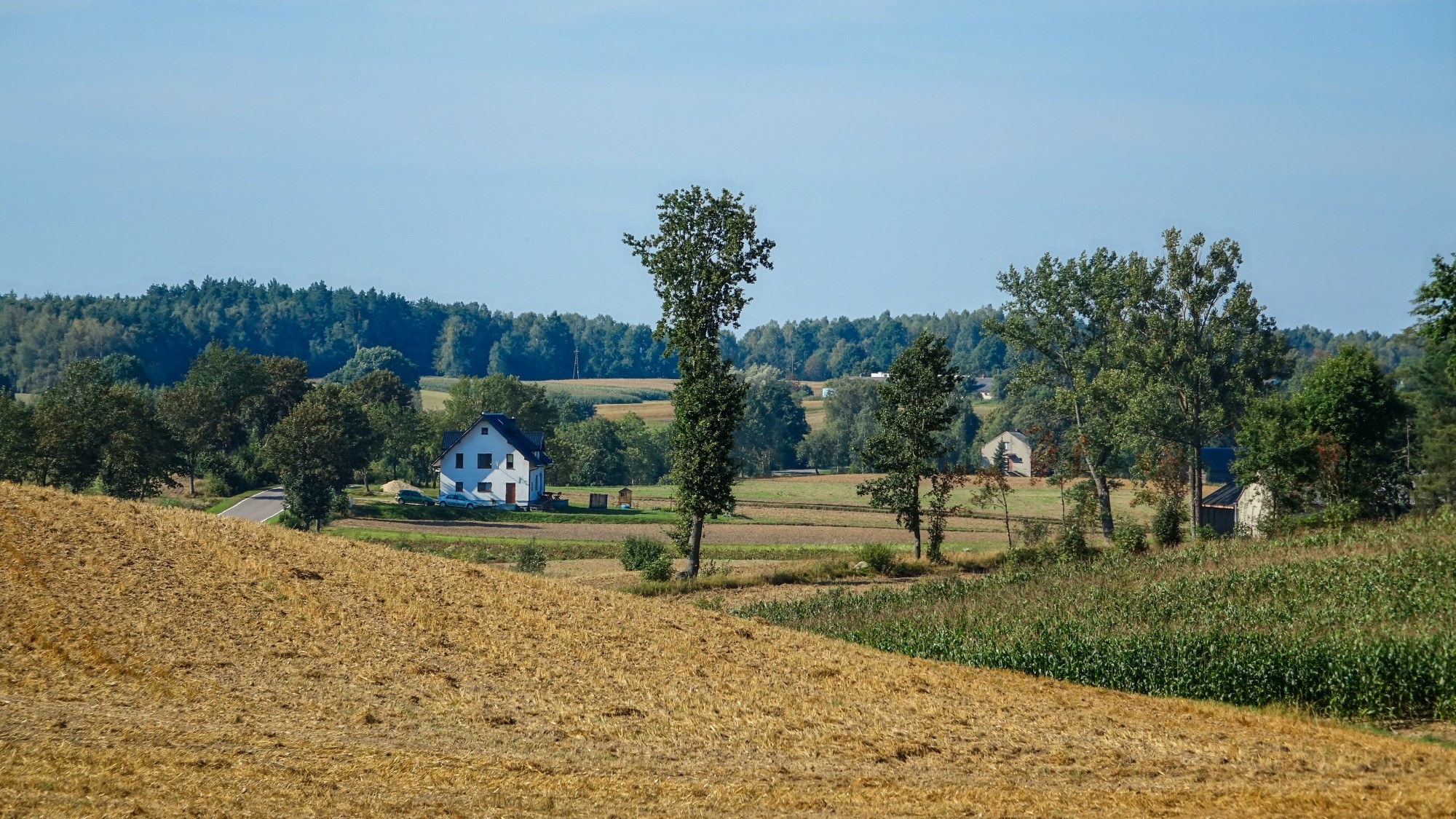 Sierpień w obiektywie - zdjęcie 8
