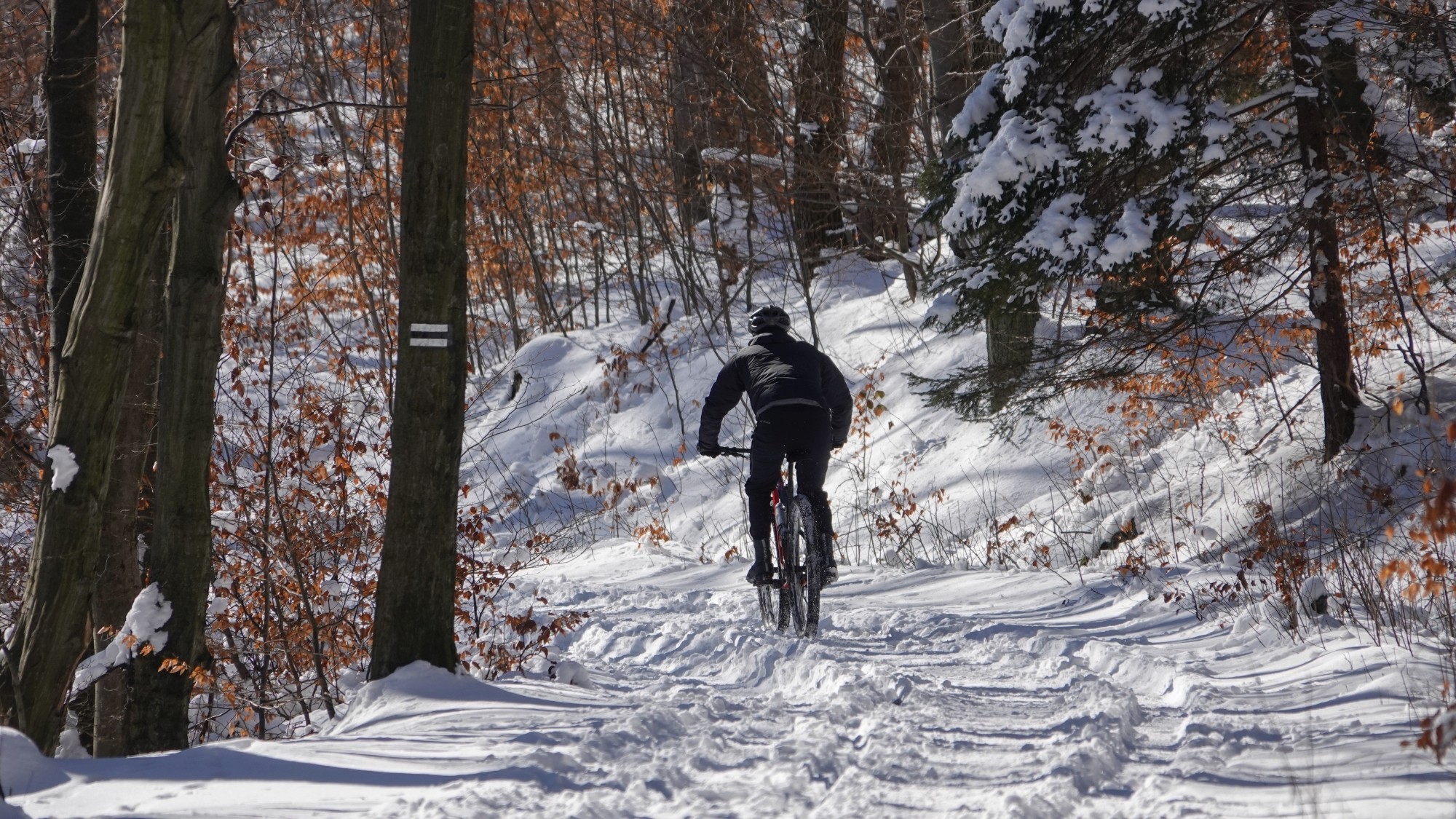 Kraina Narnii - zdjęcie 49