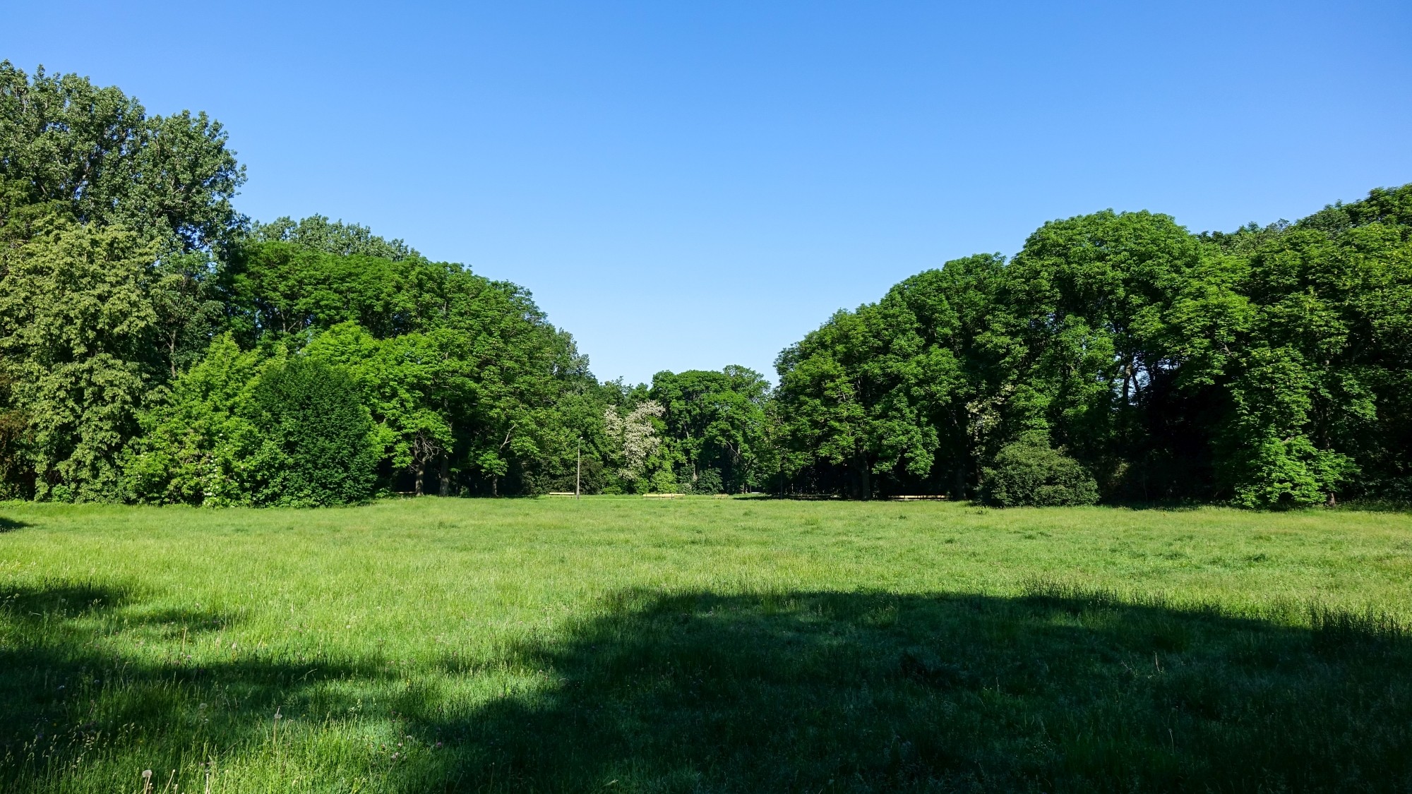 Maj w obiektywie - zdjęcie 35