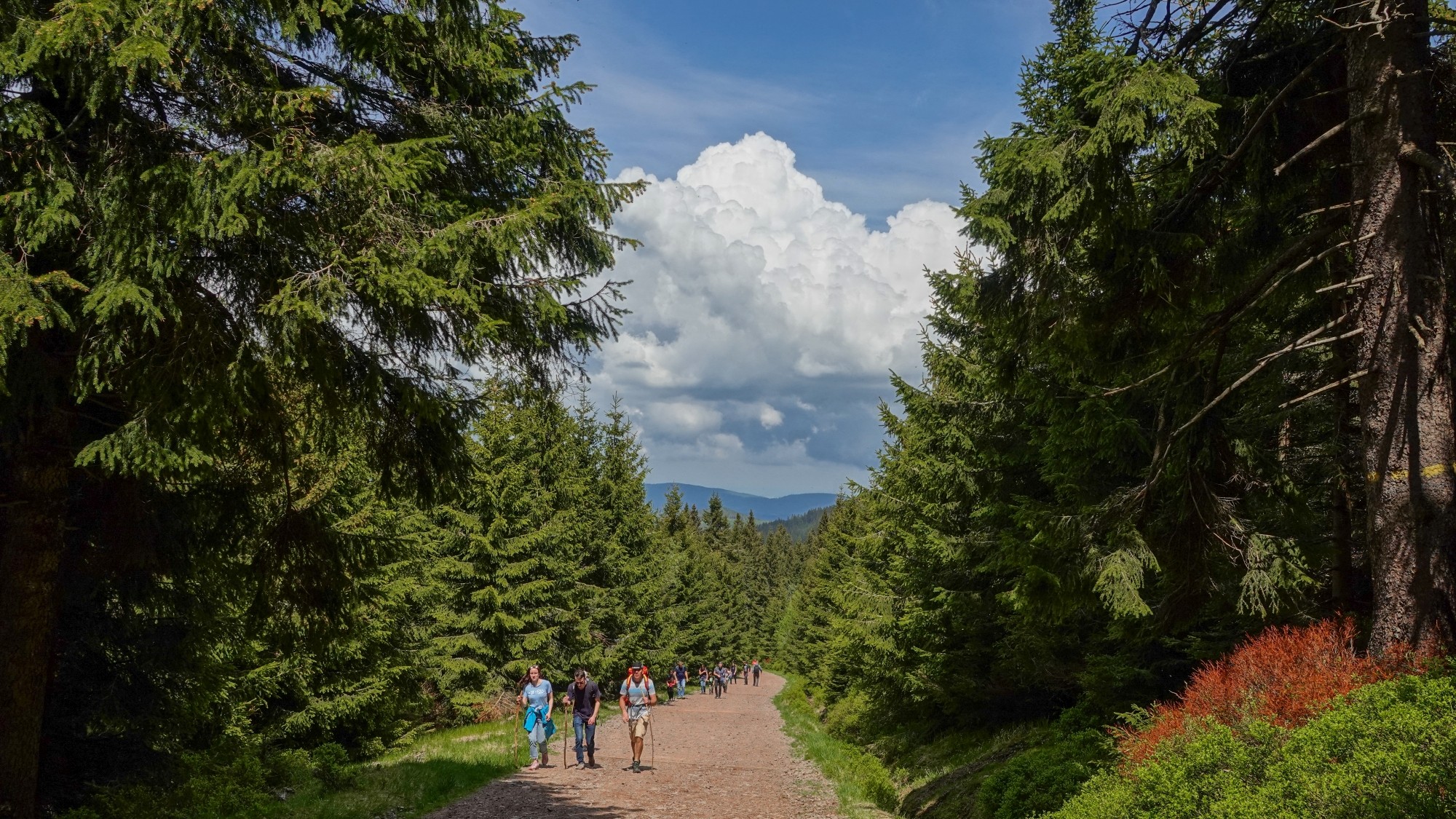 Wakacje minionych lat - zdjęcie 11