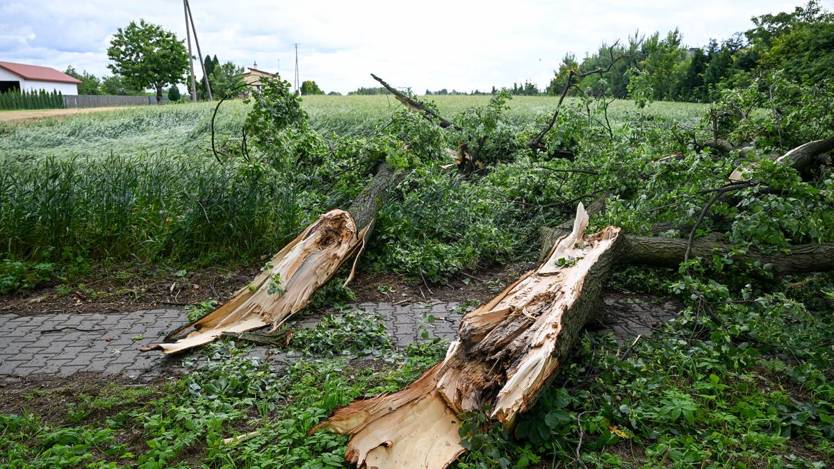 Nawałnice w całym kraju. Ranny 11-letni chłopiec