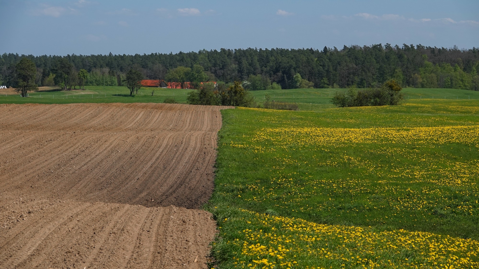 W maju jak w raju - zdjęcie 7