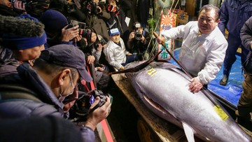 Tuńczyk sprzedany za 323 tys. dolarów. Ostatnia noworoczna aukcja na targu Tsukiji