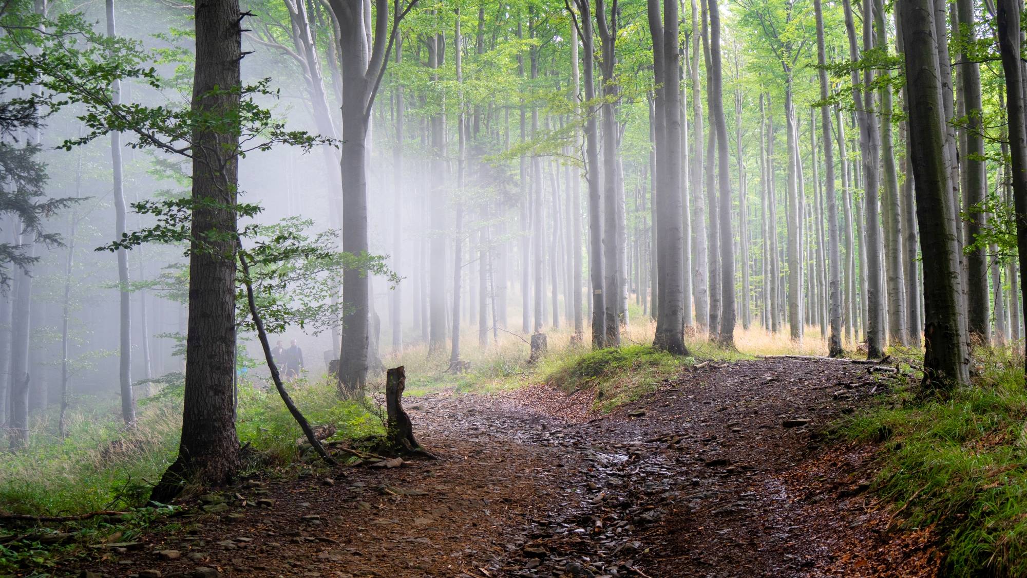 Kolory lata - zdjęcie 5