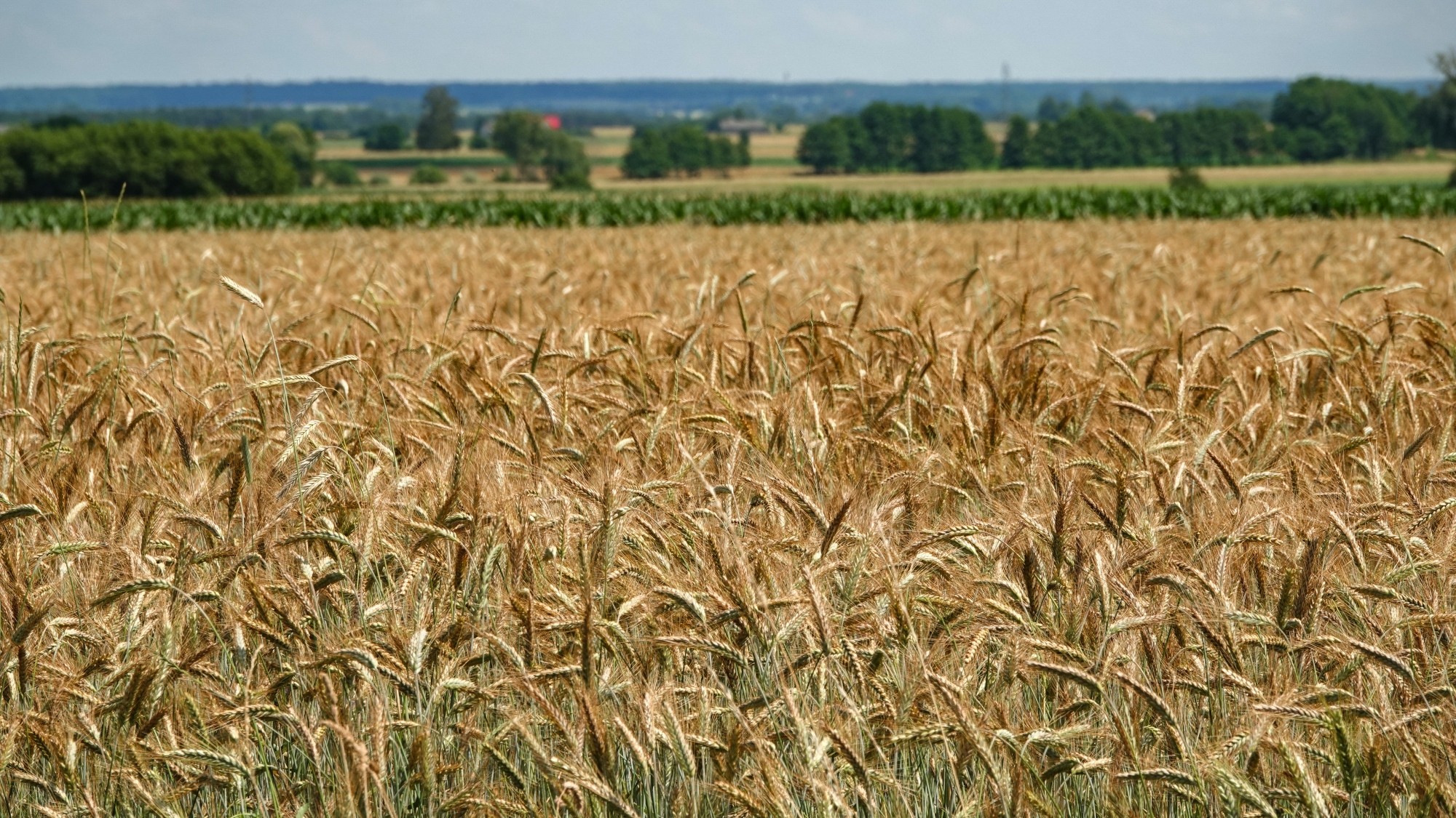 Podróż przez polską prowincję - zdjęcie 4