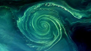 19.09.2021 06:00 Gigantyczny zielony wir w wodach Morza Bałtyckiego to ostrzeżenie, że dzieje się coś niepokojącego