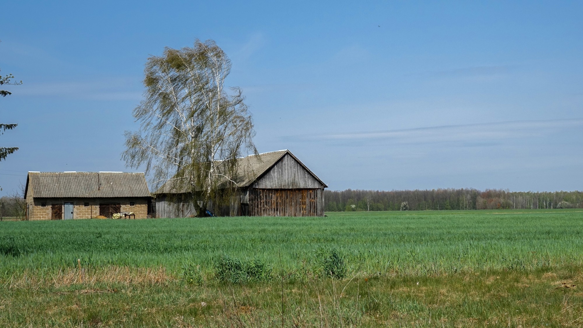 Podróż przez wiosenną Polskę - zdjęcie 19