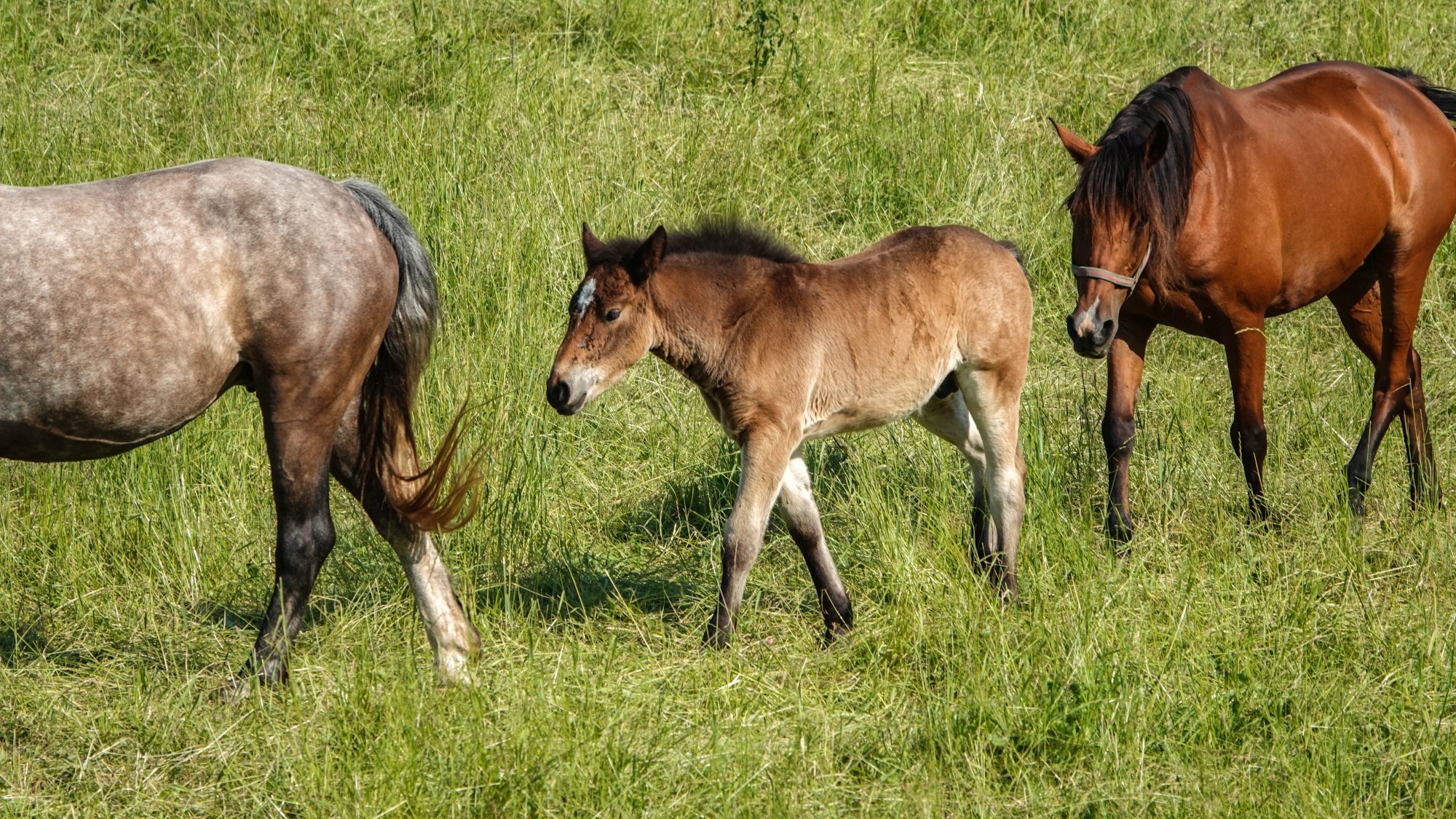 Środek lata w plenerze - zdjęcie 15