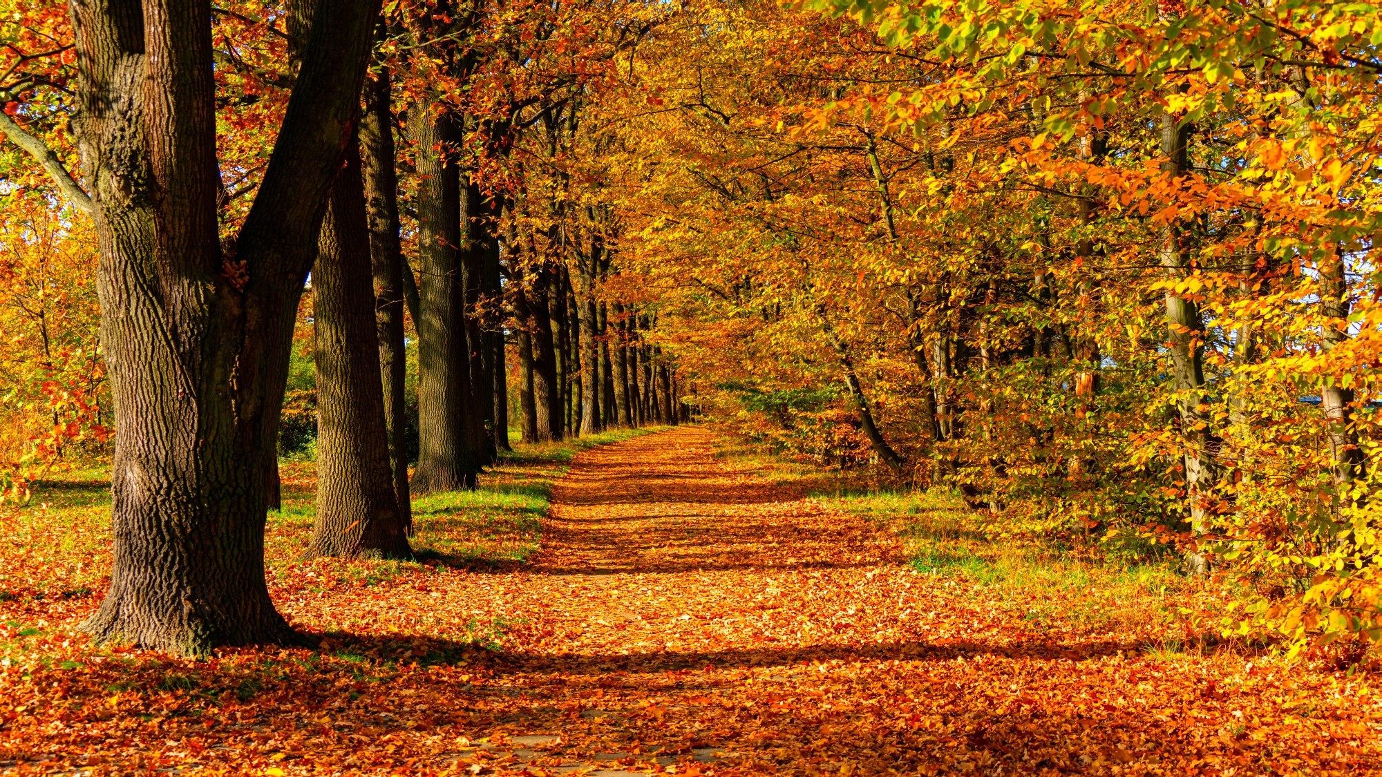 Piękny listopad - zdjęcie 19