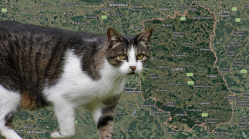 Pierwszy przypadek wścieklizny na Lubelszczyźnie. Weterynarze apelują o szczepienia