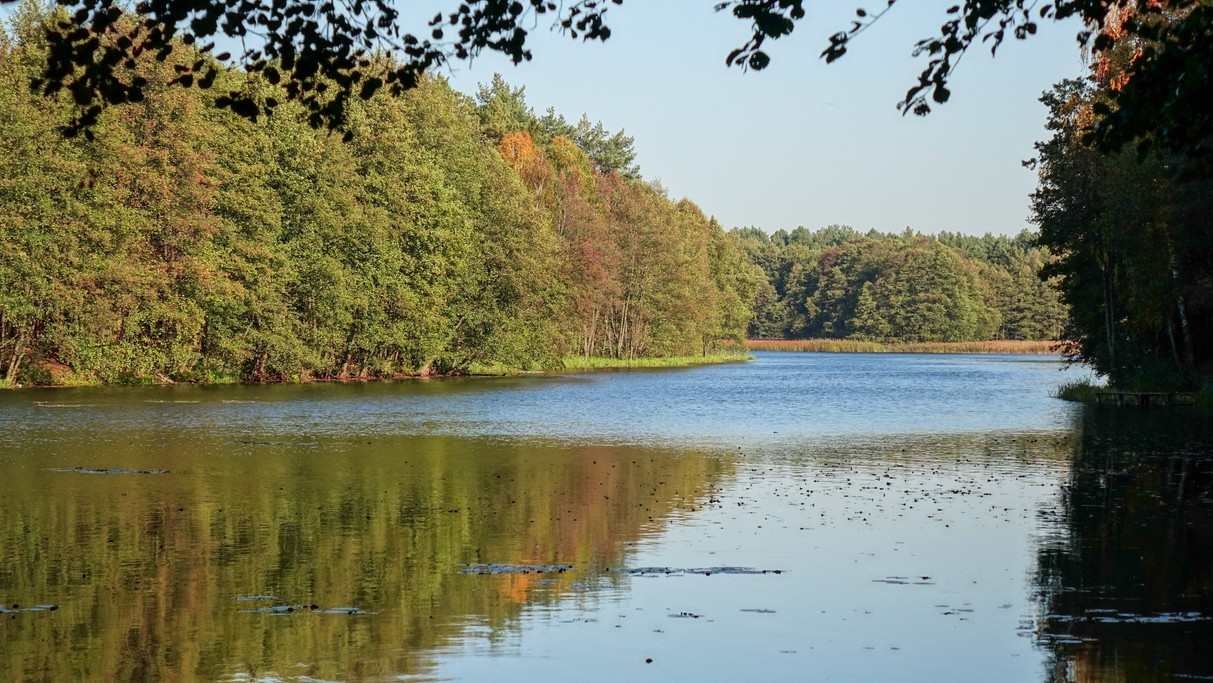 Jesienne krajobrazy za miastem - zdjęcie 36