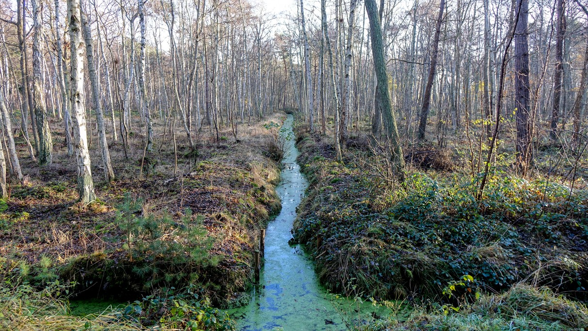 Nad morzem, jeziorami i rzekami - zdjęcie 34