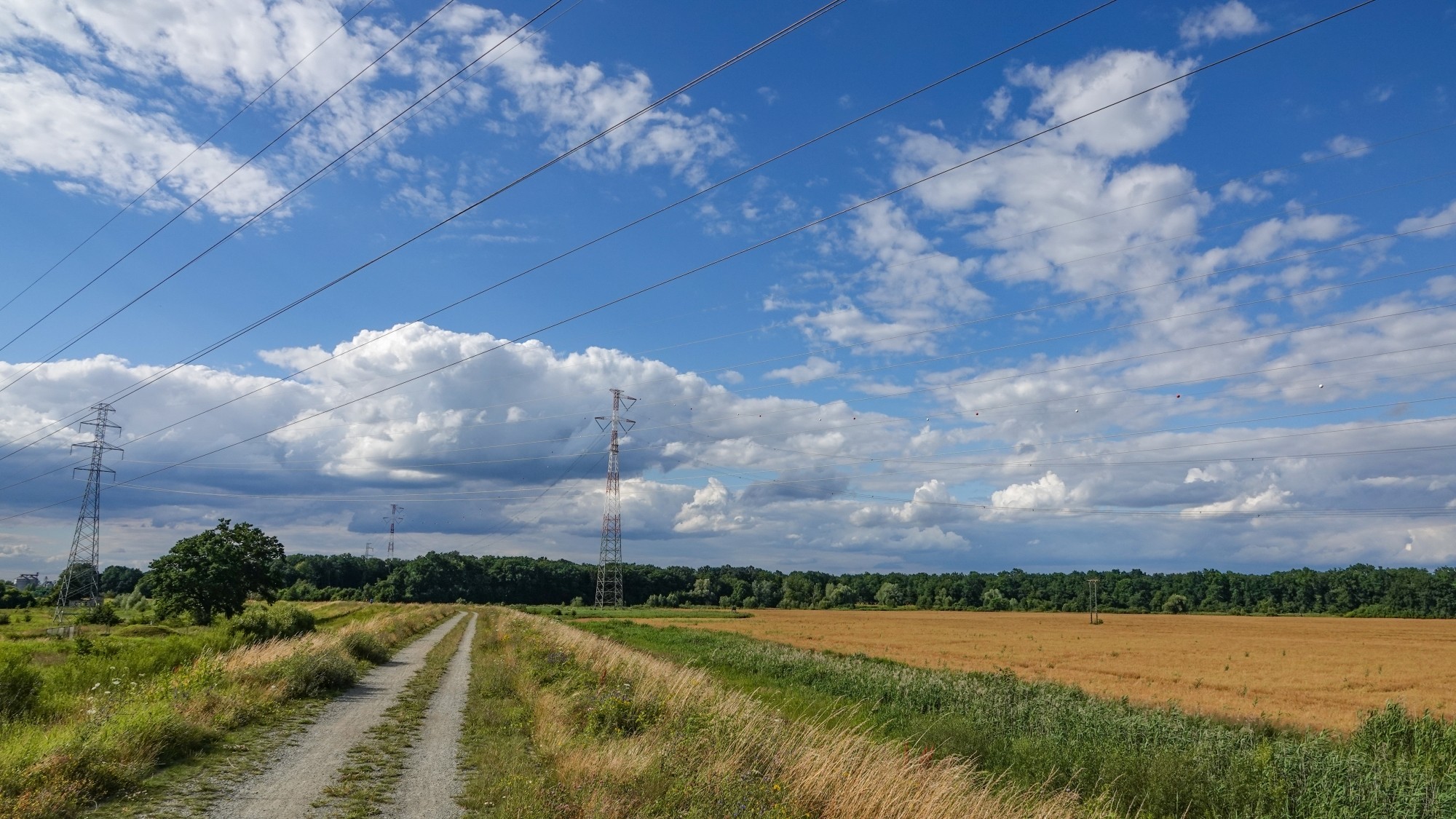 Środek lata w plenerze - zdjęcie 36