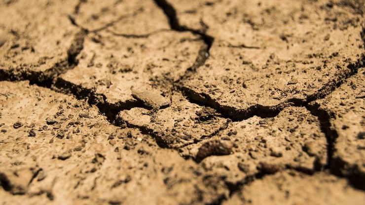 Gróbarczyk: możemy mieć suszę najsilniejszą od 50 lat