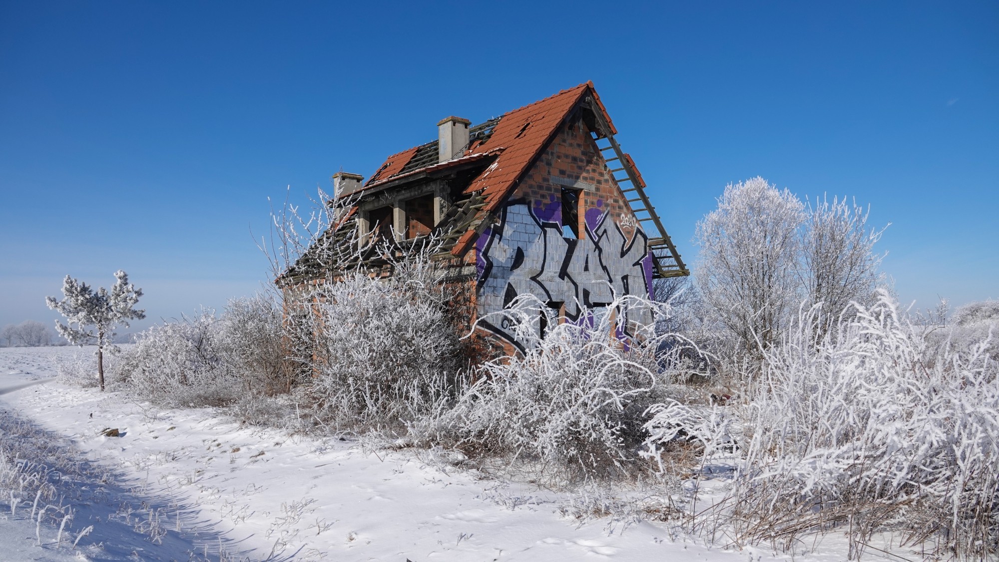 Kraina Narnii - zdjęcie 18